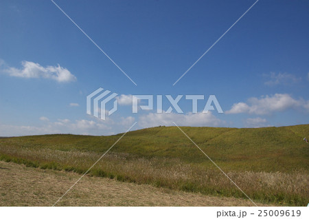 曽爾高原 25009619