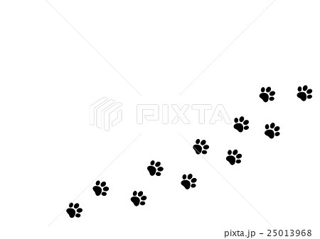 猫の足跡のイラスト素材 25013968 Pixta