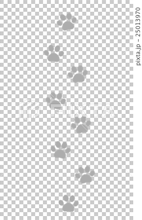 貓的腳印 25013970