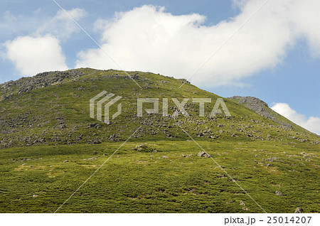 乗鞍畳平山頂付近2 25014207