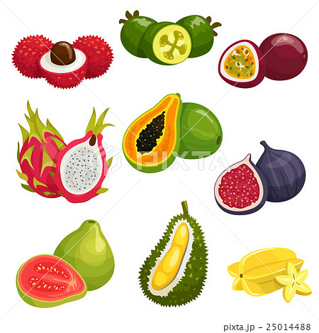 Tropical and exotic fruits isolated icons 25014488
