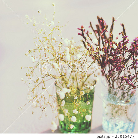 Glass Plant Decoration Beautiful Concept 25015477