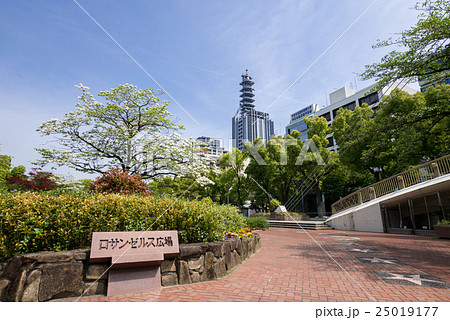 名古屋 栄 都市風景 久屋大通公園 ロサンゼルス広場の花水木の写真素材