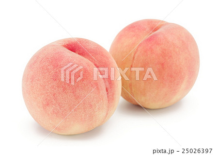 桃 25026397