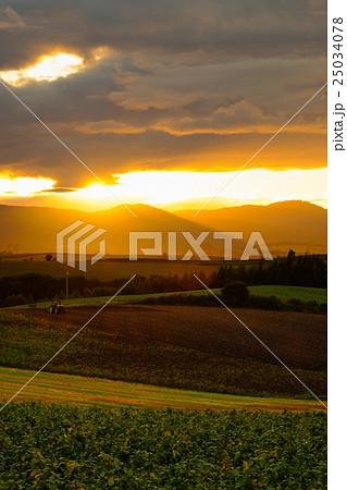 美瑛周遊 (394) 25034078