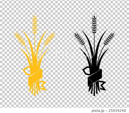Ears of Wheat, Barley or Rye Ears of Wheat, Barley or Rye 25034248