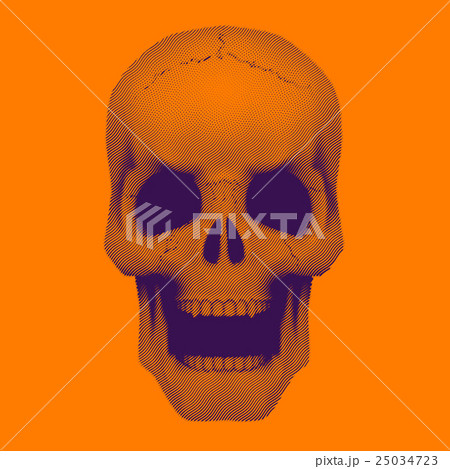 Skull in vintage duotone and halftone style. Skull in vintage duotone and halftone style. 25034723