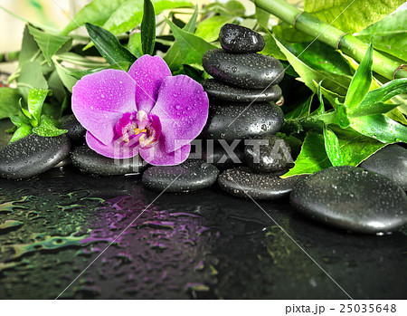 Spa concept: zen stones, orchid flower and bamboo Spa concept: zen stones, orchid flower and bamboo 25035648