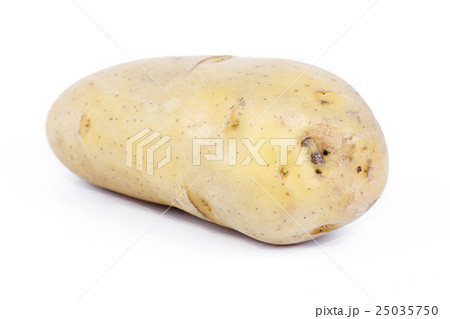 raw potato 25035750