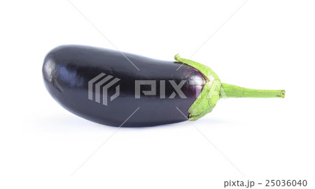 Eggplant 25036040