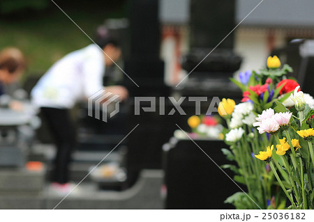 お墓参り お彼岸の供え物の菊の花 25036182