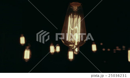 Group of Vintage Bulb Lights. 25036231