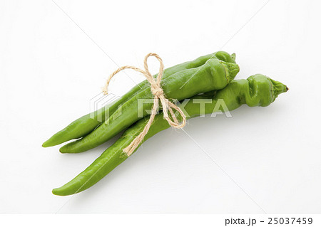 万願寺唐辛子ひと束 万願寺唐辛子ひと束 25037459