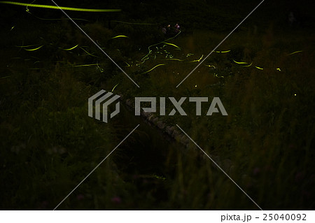 辰野ほたる祭り 25040092