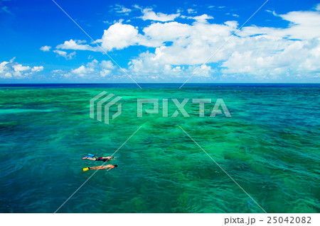 豪州 オーストラリア オーストラリア 25042082