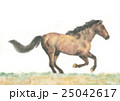 走る馬 25042617
