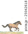 走る馬 25042618