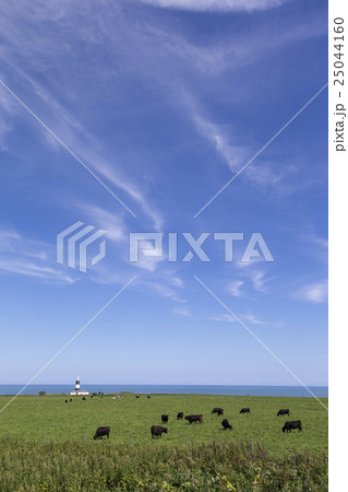 能取岬灯台 25044160