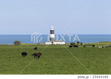 能取岬灯台 25044169