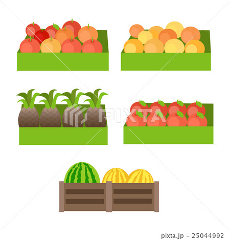 Set of Boxes with Fruits Vector Illustration.  25044992