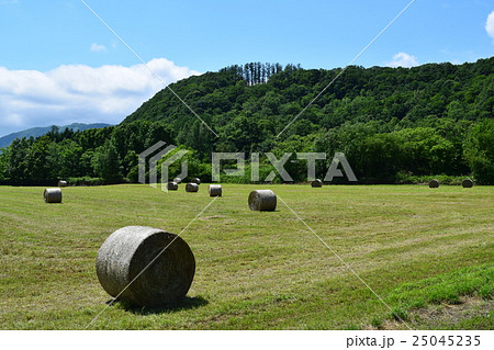 牧草ロール 牧草ロール 25045235