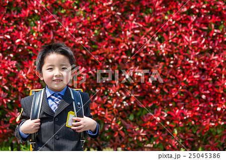 新一年生の男の子 新一年生の男の子 25045386
