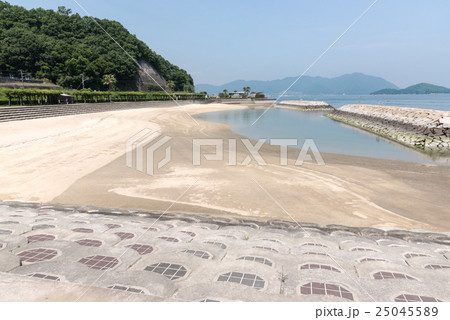 すなみ海浜公園 すなみ海浜公園 25045589