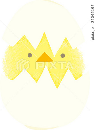 年賀状素材　ふわふわひよこ 25046197