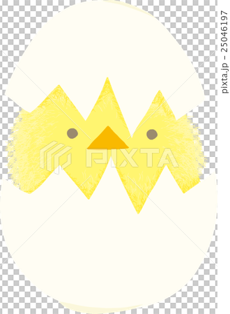 年賀状素材　ふわふわひよこ 25046197