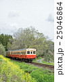 小湊鉄道と菜の花 25046864
