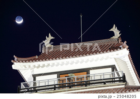 鶴ヶ城冬景色夜景(荒城の月) 鶴ヶ城冬景色夜景(荒城の月) 25048205