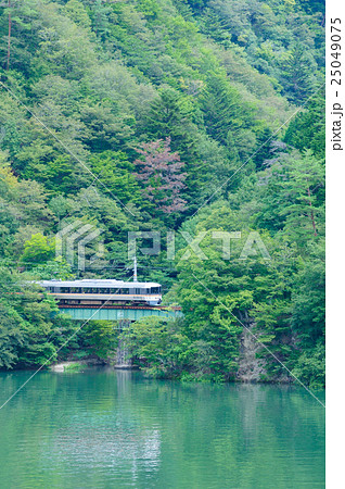 深緑の天竜川沿いを走る飯田線373系特急ワイドビュー伊那路号 深緑の天竜川沿いを走る飯田線373系特急ワイドビュー伊那路号 25049075