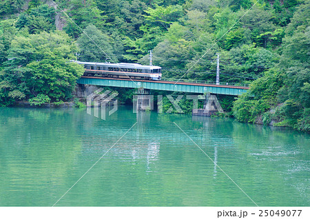 深緑の天竜川沿いを走る飯田線373系特急ワイドビュー伊那路号 25049077