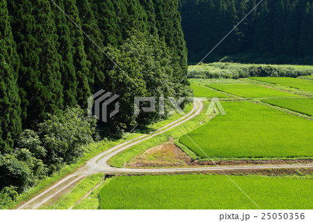 夏の山里 夏の山里 25050356