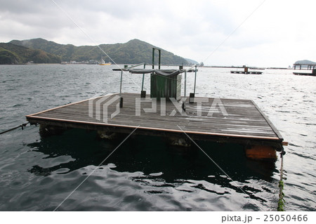 筏釣り 筏釣り 25050466