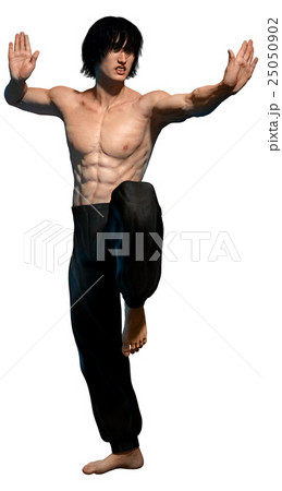 Kung fu martial artist 25050902