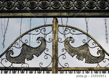 Iron gate design 25050951