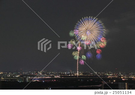 戸田橋花火大会（2016年） 25051134