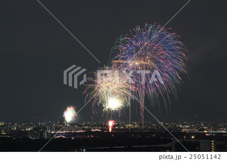 戸田橋花火大会（2016年） 25051142