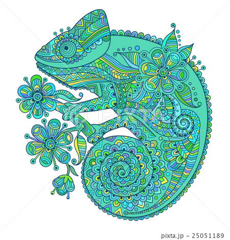 Vector Illustration With A Chameleon And Beautifulのイラスト素材