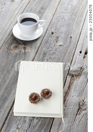 読書週間　屋外イメージ 25054076