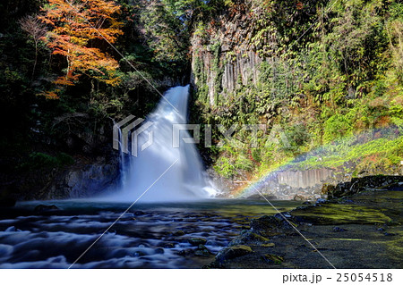 河津大滝 河津大滝 25054518