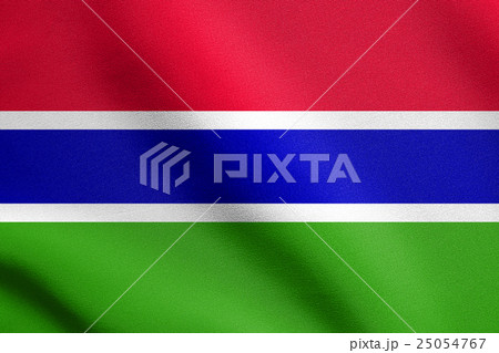 Flag of the Gambia waving with fabric texture 25054767