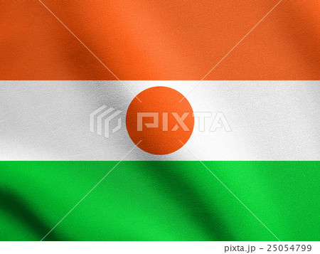Flag of Niger waving with fabric texture 25054799