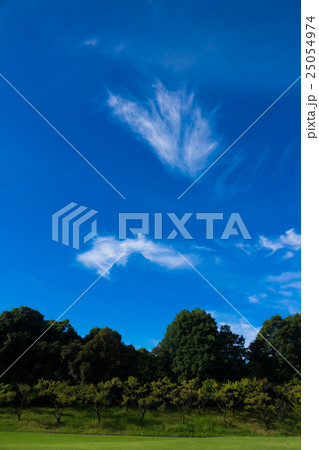 緑と空 レタッチにてより青く(9月後半) 緑と空 レタッチにてより青く(9月後半) 25054974