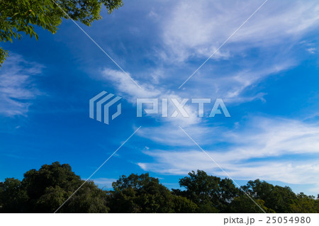 緑と空 レタッチにてより青く(9月後半) 緑と空 レタッチにてより青く(9月後半) 25054980