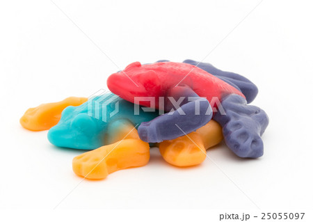 熱帯雨林カエル型グミの異種間交尾 25055097