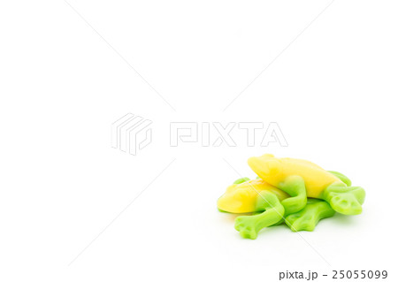 熱帯雨林カエル型グミの交尾: tropical rain forest frog gummy 25055099
