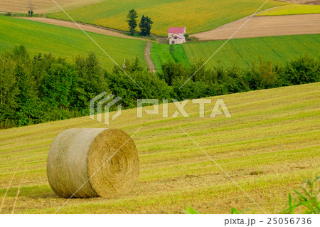 美瑛周遊 (432) 25056736