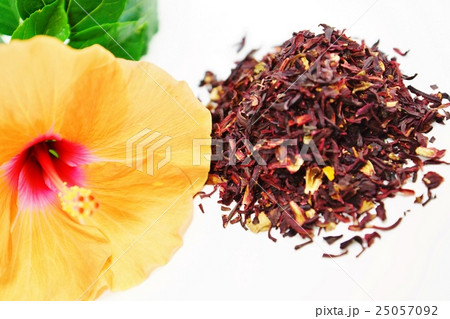 ハーブ ハイビスカスティーの茶葉としてのローゼルの実の砕片俯瞰とハイビカスの花アップ 白バック横位置の写真素材